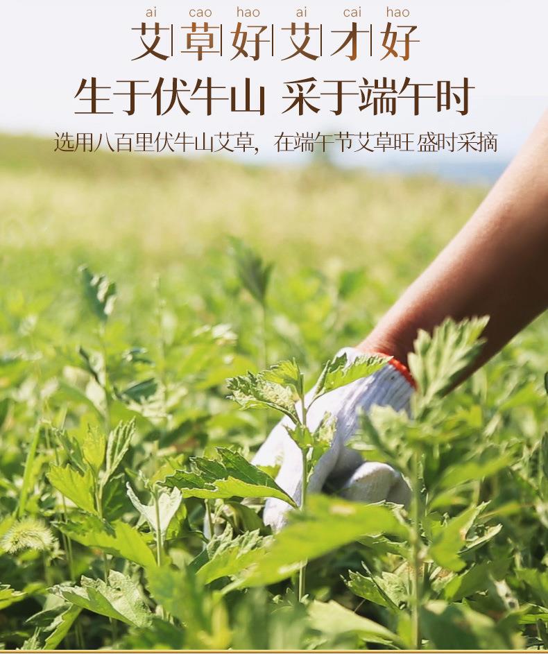 散裝50:1艾柱 陳年艾絨艾灸54粒金艾柱 南陽(yáng)廠(chǎng)家批發(fā)艾灸柱艾制品